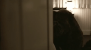 30 seconds to mars a beautiful lie GIF