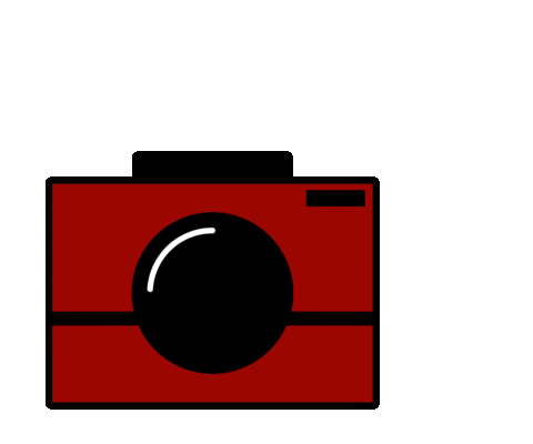 servicereisen giphyupload photo camera foto Sticker