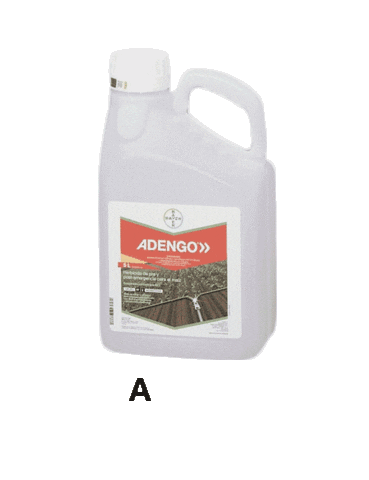 DEKALB_IBERIA giphyupload Sticker