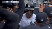 Celebrate Home Run GIF by MLB