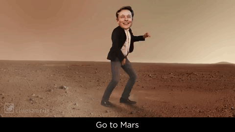 elon musk GIF