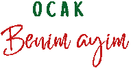 Aylar Sticker