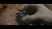 Rock Spirit GIF by VVS FILMS