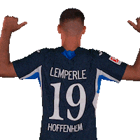 Sport Bundesliga Sticker by TSG Hoffenheim