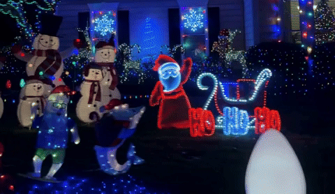 barilladm1 giphyupload GIF