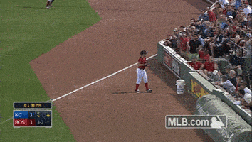 bos GIF by MLB