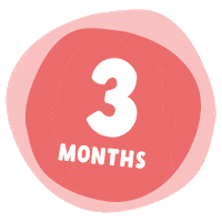 Milestones 3Months Sticker by Munchkin