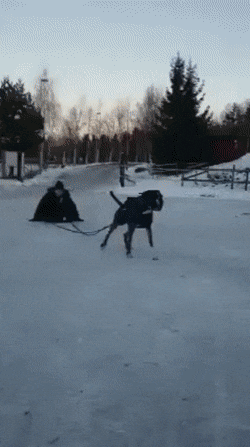 giffunme giphyupload GIF