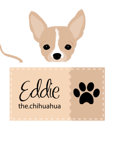 eddiethechihuahua giphyupload dog dogs puppy Sticker