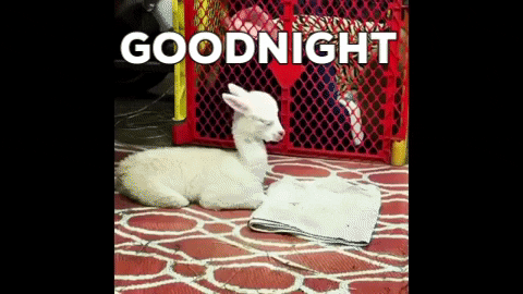 andcallmeshirley giphygifmaker tired adorable sleepy GIF