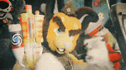 Dorian Electra Lgbt GIF by Database數據