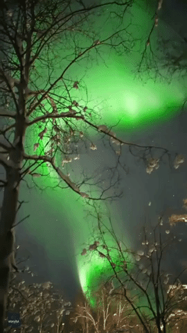 Alaskan Aurora Chaser Gets Amazing Display Right on His Doorstep