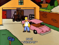homer simpson GIF