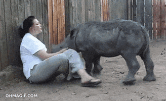 baby sleeping GIF