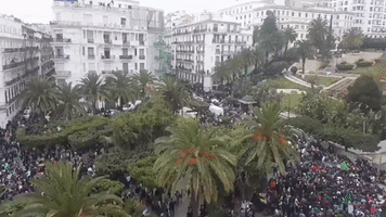 Thousands Join Anti-President Protest in Algiers