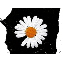 G-Dragon Daisy Sticker