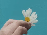 Do You Love Me GIF by Stephanie Poetri