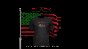 Juneteenth GIF by Actively Black