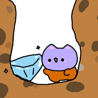 Excited Cat GIF
