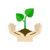 Plant Naturaleza Sticker by Olé Oficial Mx