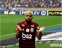 Flamengo GIF