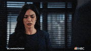 Season 21 Nbc GIF by Law & Order
