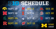 GIF by Michigan Athletics