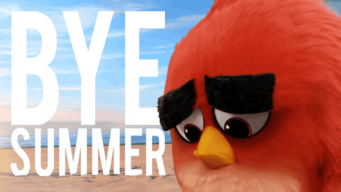 End Of Summer GIF by Angry Birds
