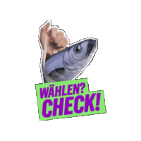 Klarekante Sticker by gruene_nrw