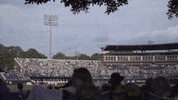 East Carolina Ncaa GIF by ECU Athletics