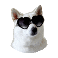 Dog Heart Sticker by imoji