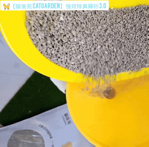 體驗｜不藏私！貓旅館也愛用的貓砂品牌開箱【貓後苑 CatGa