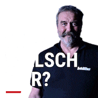 Schaeffler Sticker by Werbewind