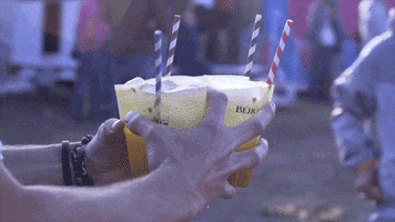 festival portugal GIF by Licor Beirão