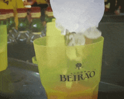 festival portugal GIF by Licor Beirão