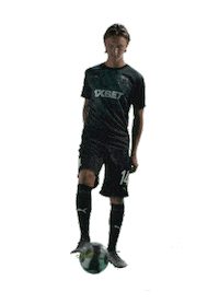 fckrasnodar football ball bull bulls Sticker