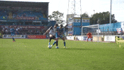 Football Soccer GIF by Salford City FC