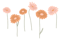 bellefioremnl love new swipe up flowers Sticker