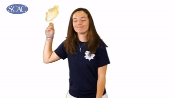 university of dallas GIF by Southern Collegiate Athletic Conference