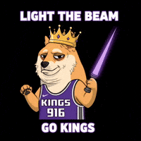 Shiba Inu Basketball GIF by Doge Pound
