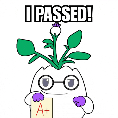 Proud A Plus GIF by Magic Eden