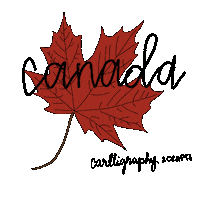 carlligraphy canada maple leaf carlligraphy Sticker