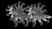 Lets Go Dance GIF by Guillem Gisbert