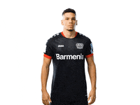 Bayer 04 Clapping GIF by Bayer 04 Leverkusen
