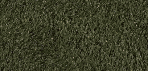 Womens Lacrosse GIF by Lafayette Leopards