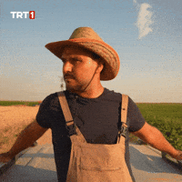 Where Are You What GIF by TRT