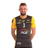 Belchatow Sticker by PGE Skra Bełchatów
