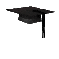 essex alumni Sticker by University of Essex Alumni