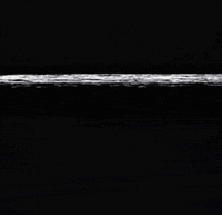 scared to death horror GIF by absurdnoise