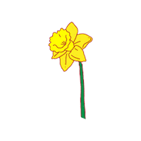 Spring Day Flower Sticker by Pike Place Market